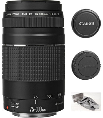2. The Canon EF 75-300mm f/4-5.6 III Zoom Lens
