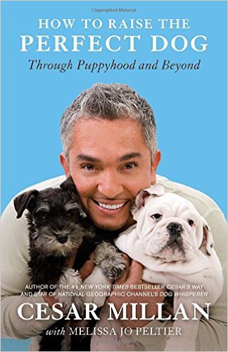 9. How to raise the perfect dog: through puppyhood and beyond.