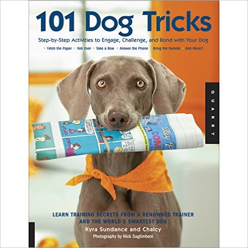5. 101 Dog tricks.