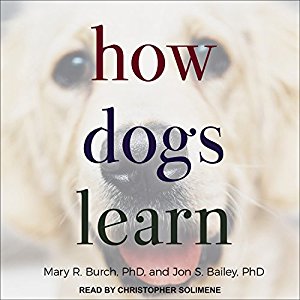 7. How dogs learn.
