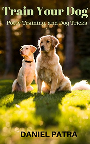 8. Train your dog: potty training and dog tricks